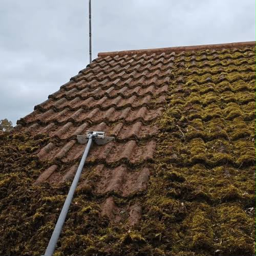Moss being scraped from a clay tile roof, half the roof already cleared