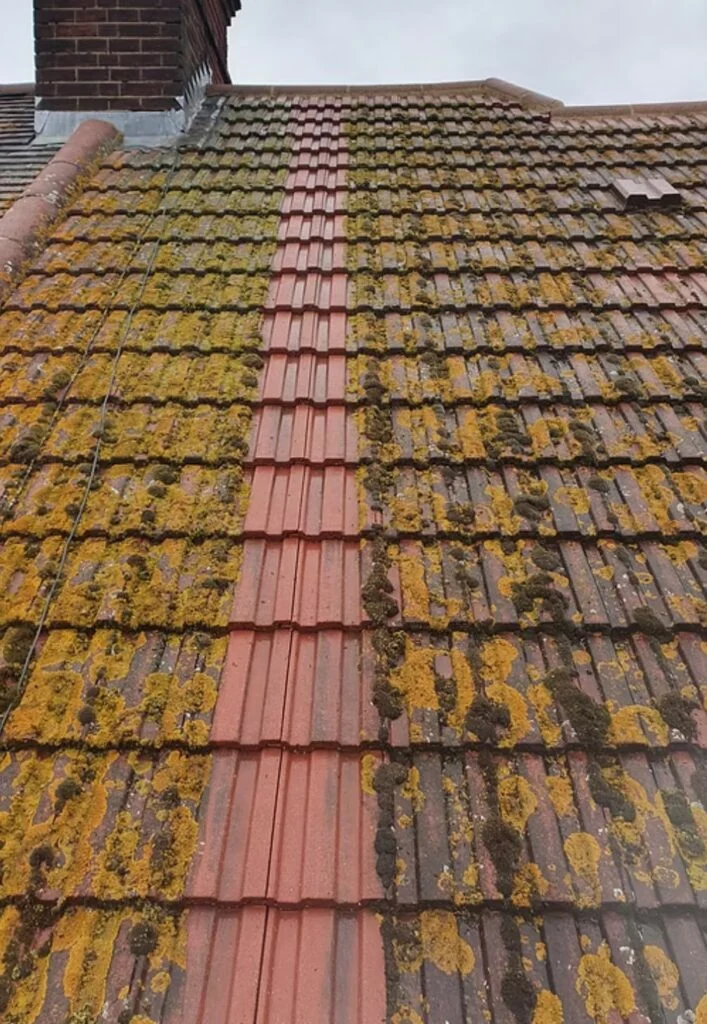 Strip of roof cleaned of lichen during moss removal